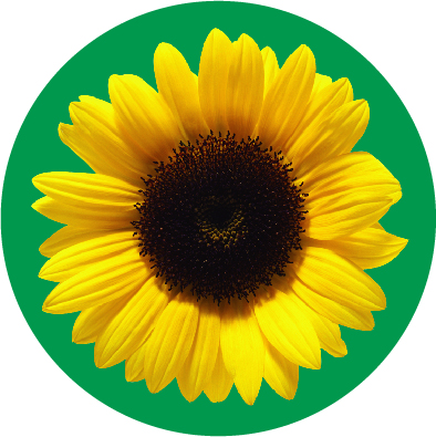 Hidden Disabilities Sunflower logo