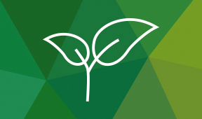 Sustainability